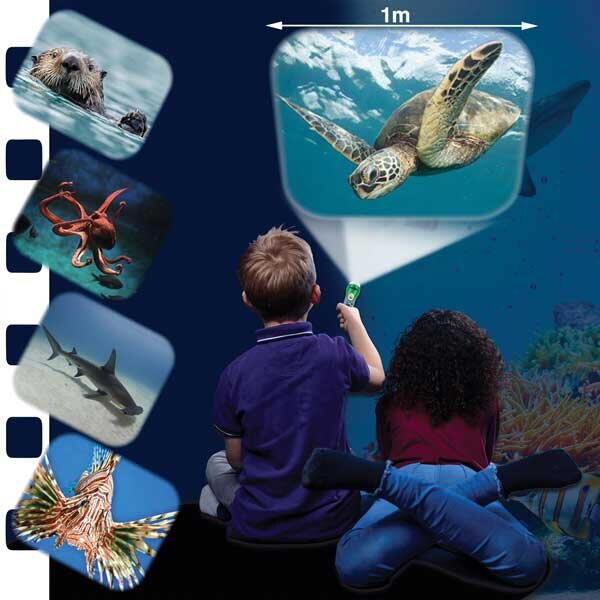 FLASHLIGHT PROJECTOR - MARINE ANIMALS - NATURAL HISTORY MUSEUM (N5200)