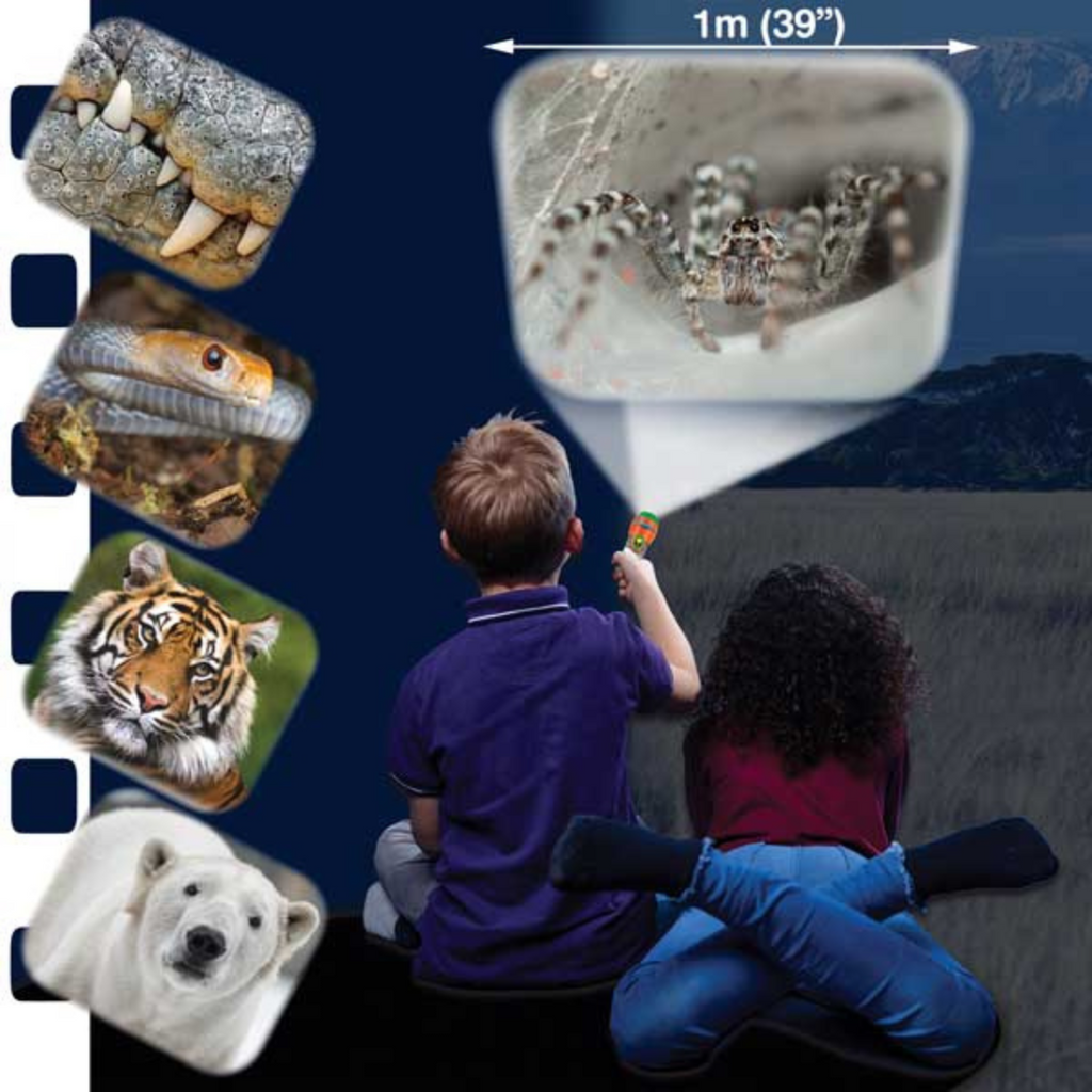 PROIECTOR TIP LANTERNA - CELE MAI PERICULOASE ANIMALE - BRAINSTORM (E4007)