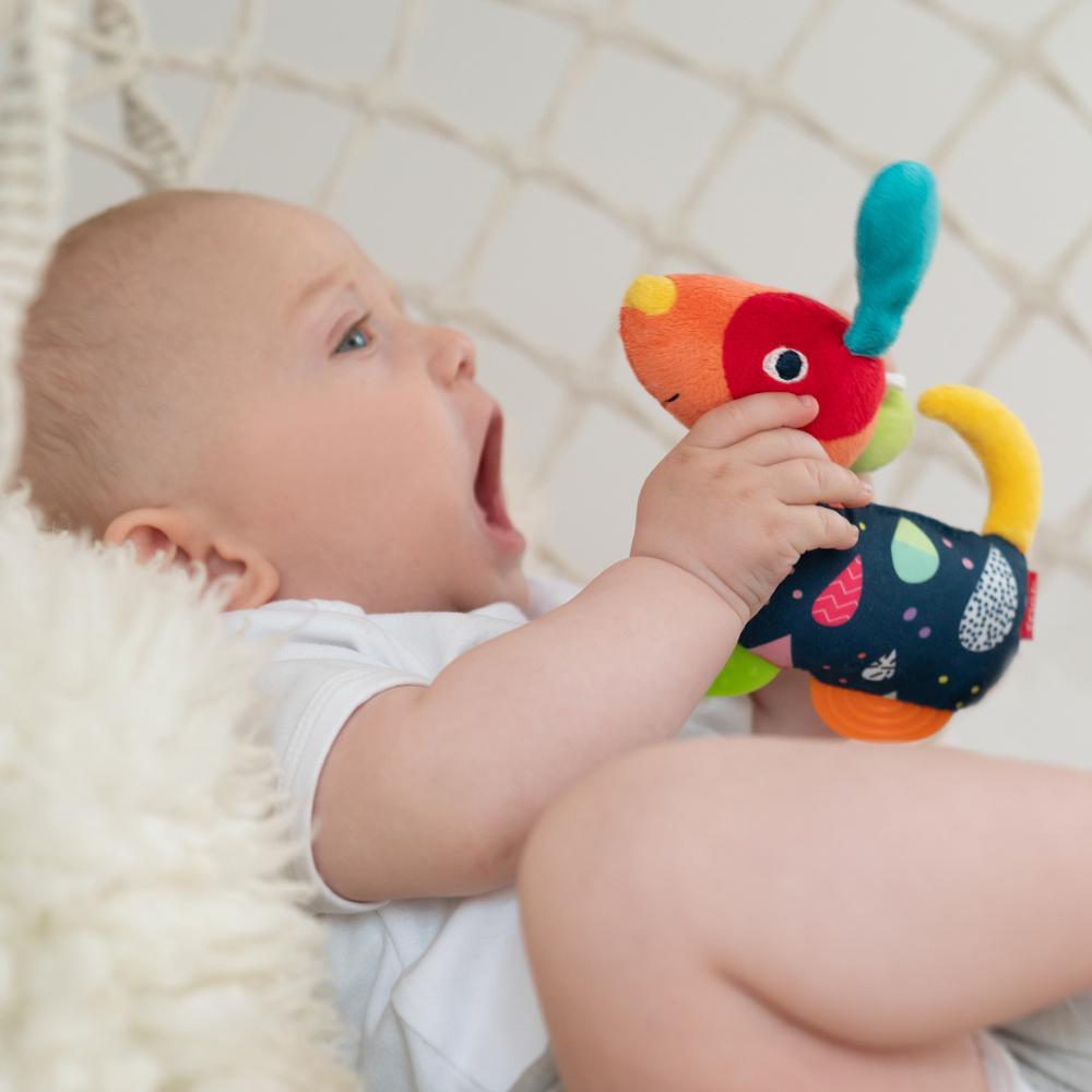 DEXTERITY AND TEETH TOY - CATELUS - FEHN (55283)