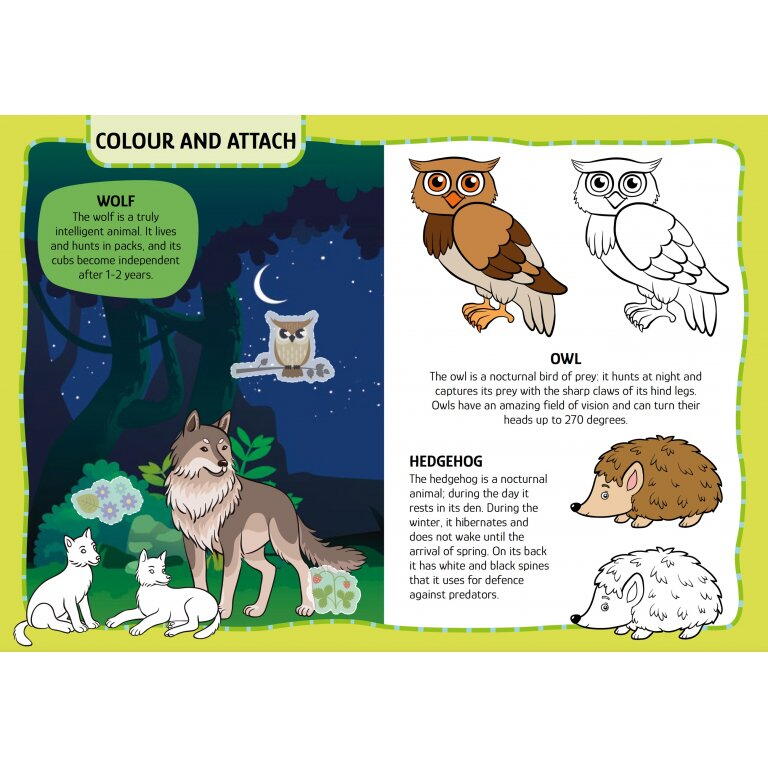 PRIMUL SET DE ARTA & LUCRU MANUAL - ANIMALUTE - SASSI (978-88-303-1060-5)