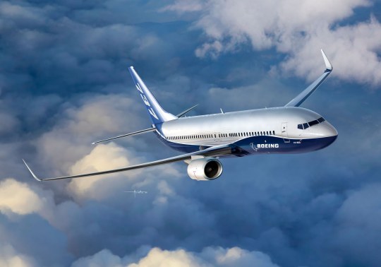 AEROMODEL BOEING 737-800 - REVELL (RV03809)