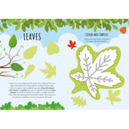 CARTE DE ACTIVITATI CU ABTIBILDURI - IN NATURA - SASSI (978-88-303-1331-6)