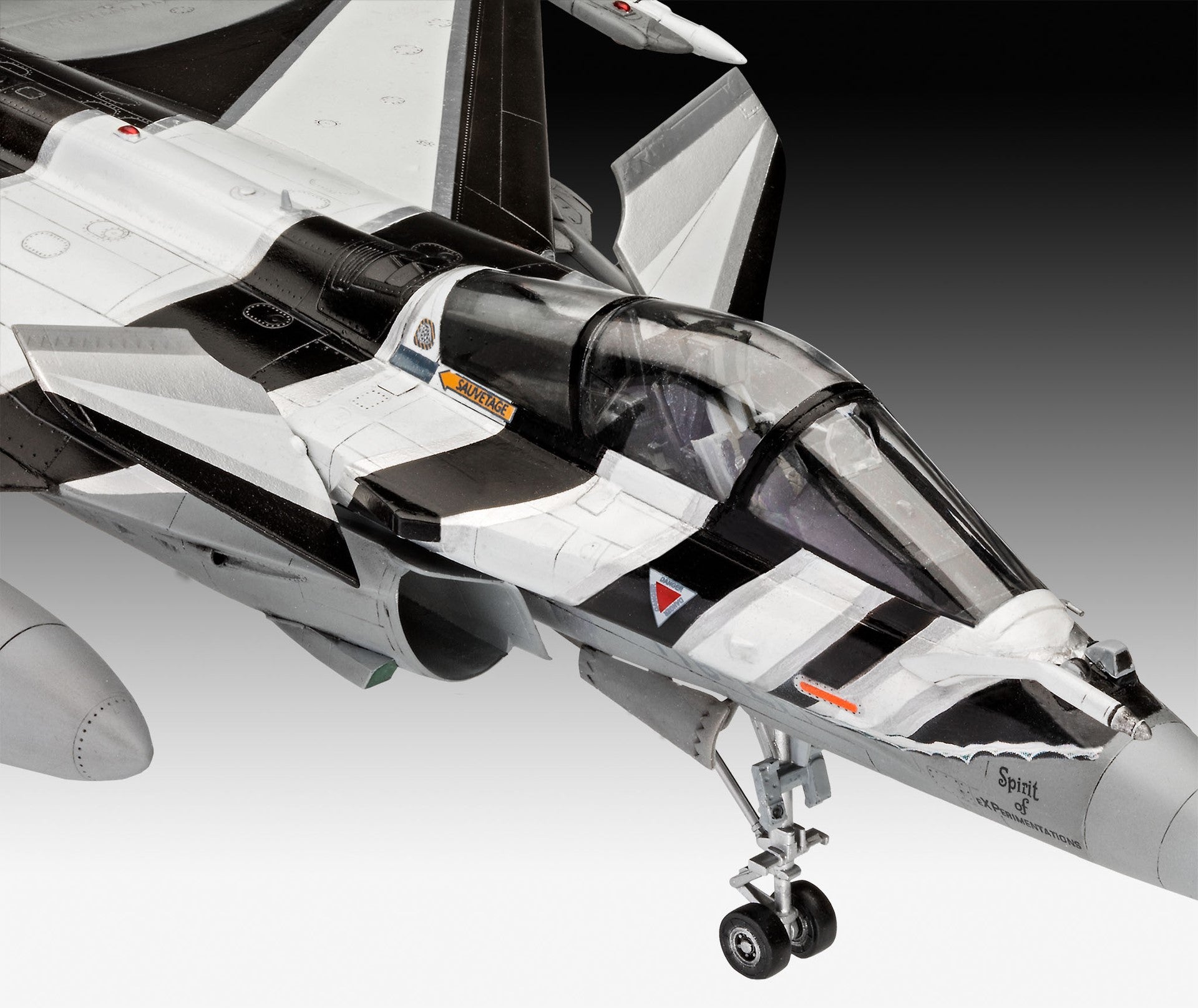 DASSAULT RAFALE C - REVELL (RV3901)