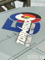 AEROMODEL PANAVIA TORNADO IDS 50 YEARS - REVELL (RV03769)