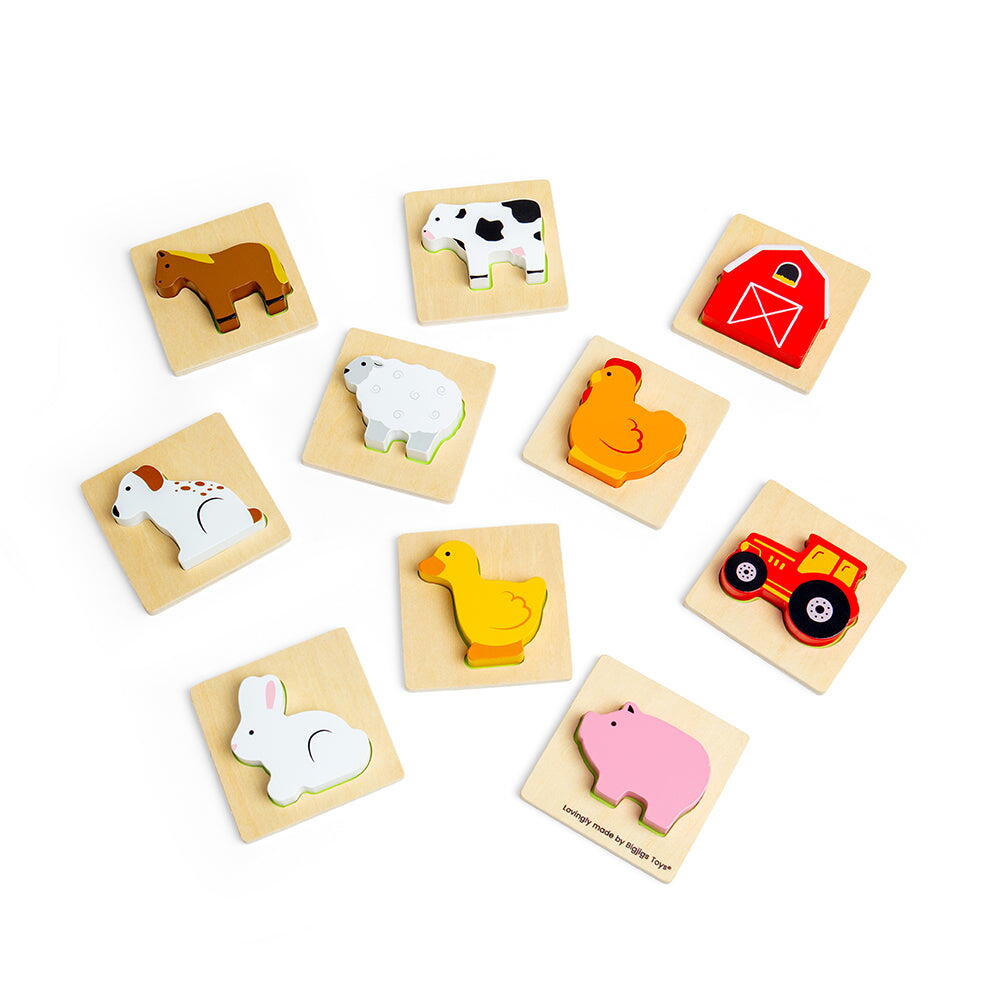 JOC SIMTE SI GASESTE - FERMA - BIGJIGS TOYS (35025)