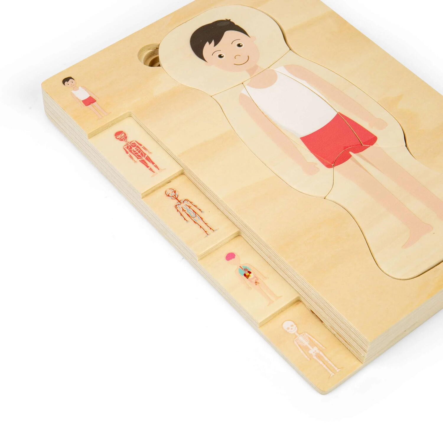 PUZZLE ANATOMIC DIN LEMN - BAIAT - BIGJIGS TOYS (37021)