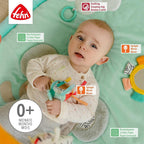 SALTELUTA DE JOACA - KOALA - FEHN (049213)