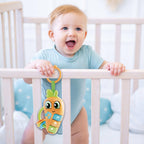 ZORNAITOARE - MORCOV VESEL - LISCIANI (L109876)