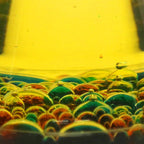 SUPER LABORATORUL EXPERIMENTELOR CU BULE - SCIENCE CAN (1204702024ig0002)