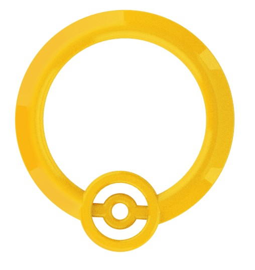 JOC POKEMON TRAINER EXPERT, LIMBA ROMANA - ZANZOON (3825155)