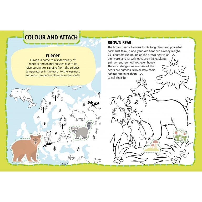 PRIMUL SET DE ARTA & LUCRU MANUAL - ANIMALUTE - SASSI (978-88-303-1060-5)