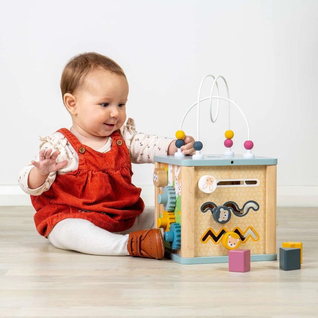 CUB 5 IN 1 CU ACTIVITATI - PASTEL - BIGJIGS TOYS (38038)