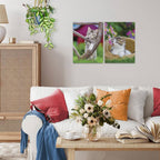 PUZZLE PISICUTE 2X500 PIESE - RAVENSBURGER (RVSPA00232)