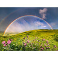 RAVENSBURGER - RAINBOW PUZZLE 1500 PIECES - RAVENSBURGER (RVSPA00800)