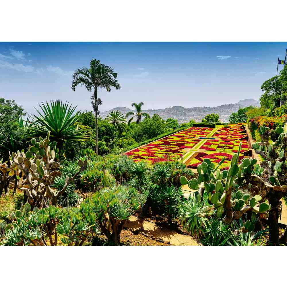 MADEIRA BOTANICAL GARDEN PUZZLE 1000 PIECES - RAVENSBURGER (RVSPA00853)