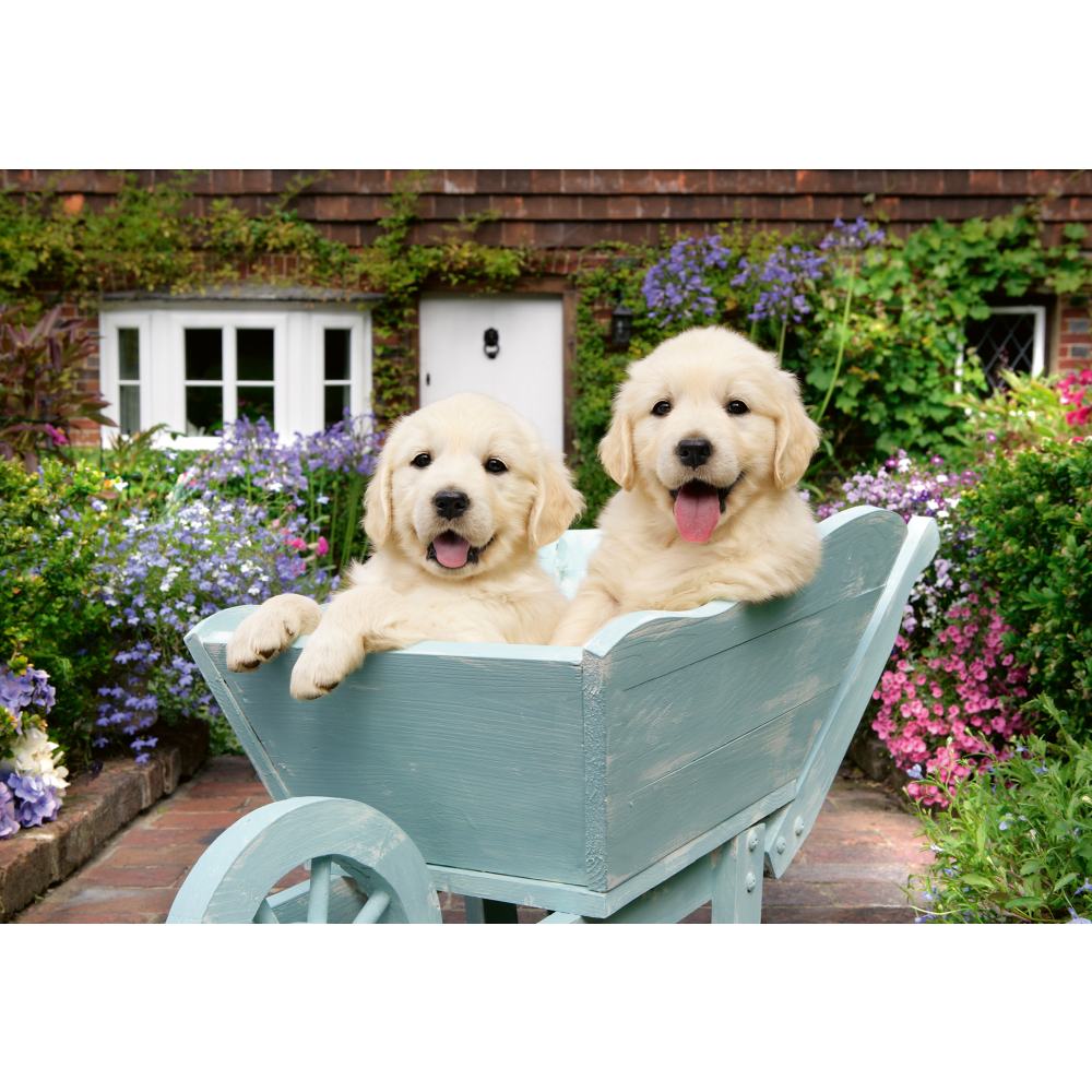 PUZZLE PENTRU VARSTNICI GOLDEN RETRIEVER CU SABLON DE IMAGINE SI SUPORT DIN CARTON 200 PIESE MARI XL - RAVENSBURGER (RVSPA01368)