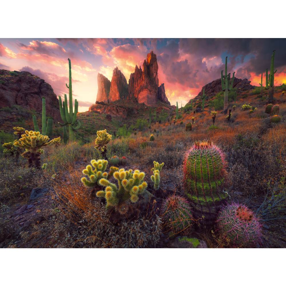 PUZZLE CACTUSI 500 PIESE - RAVENSBURGER (RVSPA01380)