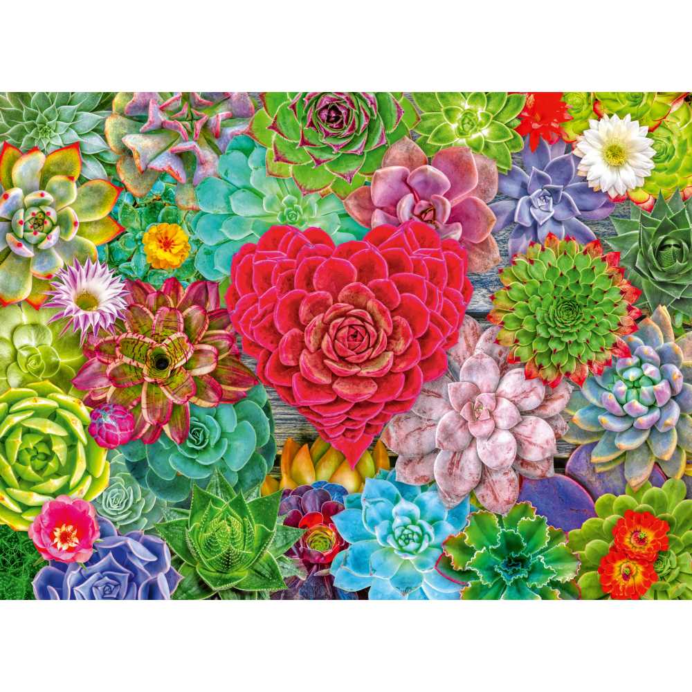 PUZZLE PLANTE SUCULENTE 500 PIESE - RAVENSBURGER (RVSPA01469)