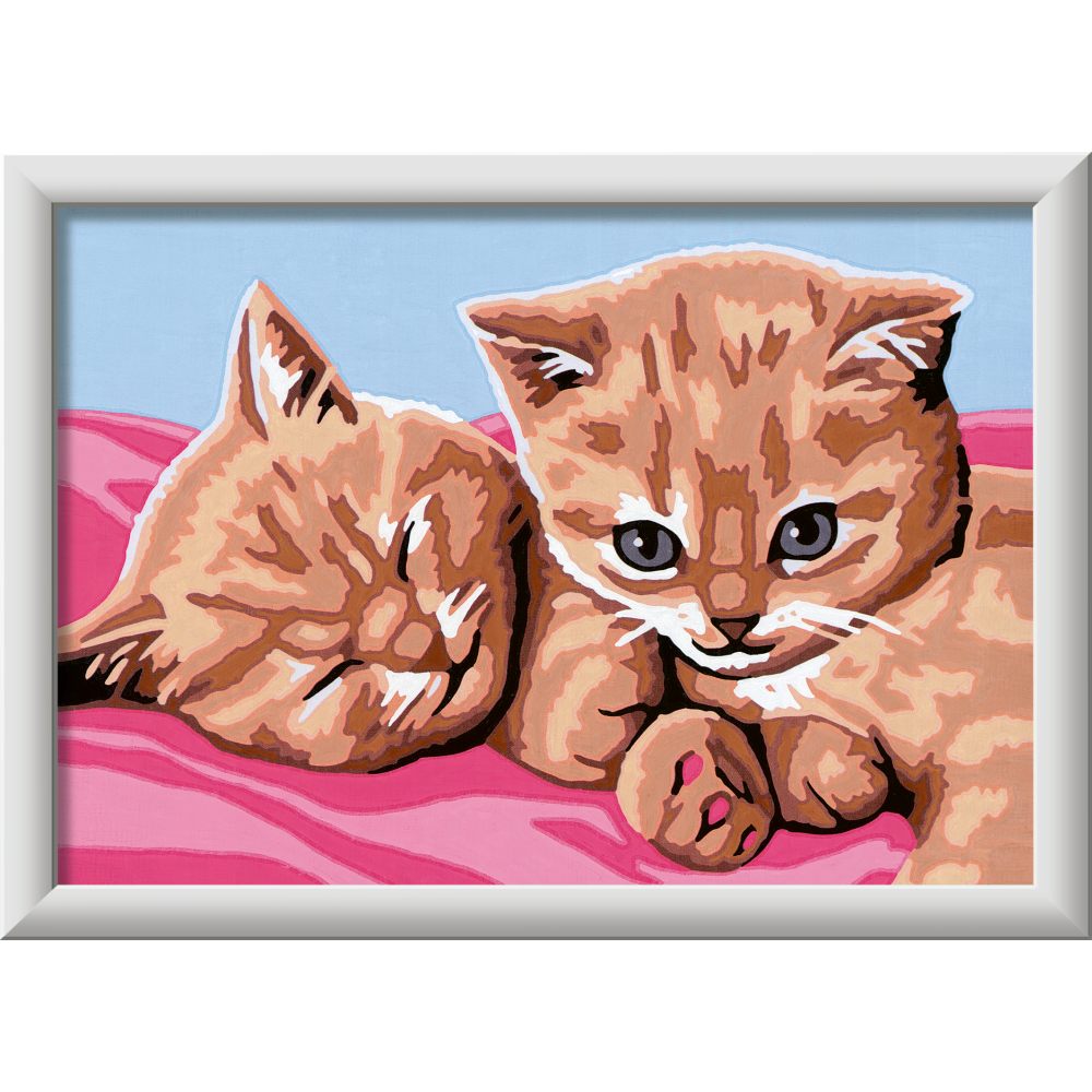 CREART PICTURA PE NUMERE PENTRU COPII PISICUTE PRIETENE - RAVENSBURGER (RVSPBN23562)