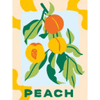 CREART PICTURA PE NUMERE PENTRU ADULTI PIERSICI - RAVENSBURGER (RVSPBN25517)