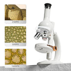 MINI LABORATORUL MEU CU MICROSCOP - SCIENCE CAN (160116)