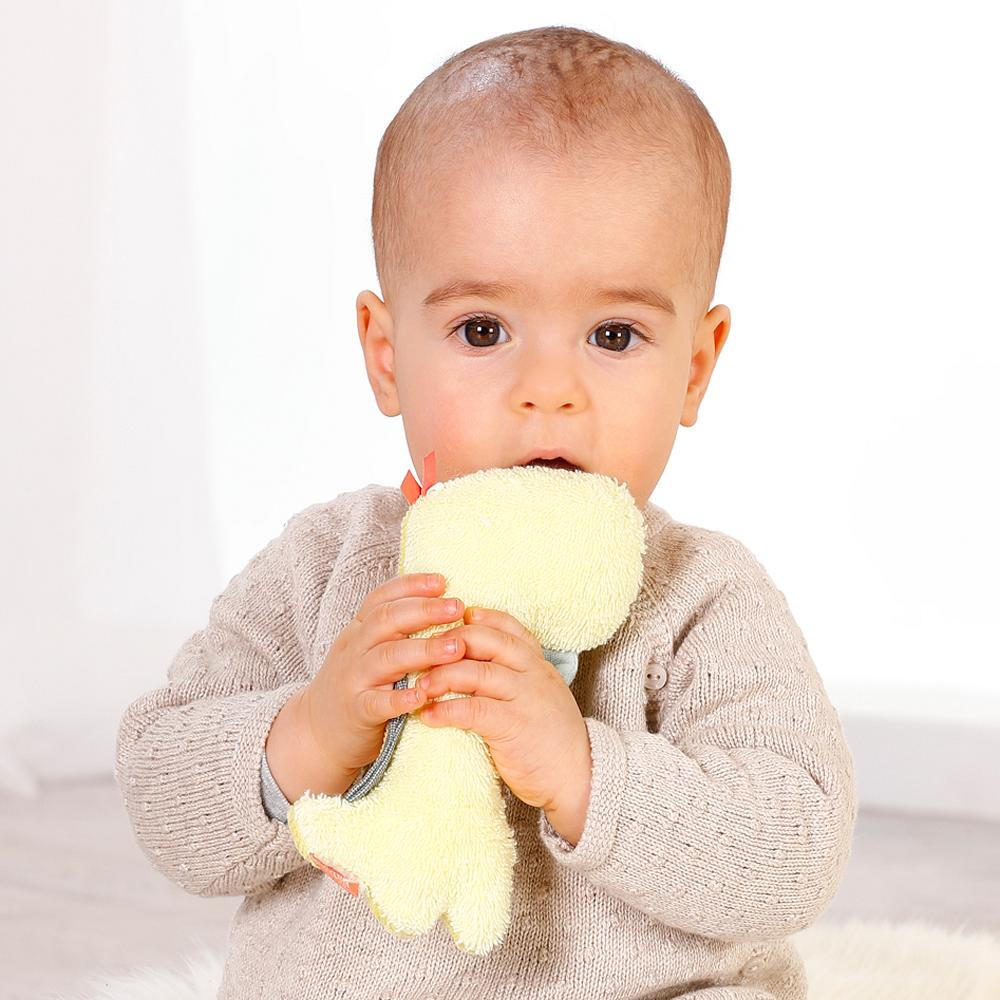 JUCARIE PENTRU DEXTERITATE - DINOZAUR - FEHN (051094) - Libelula Vesela - Jucarii