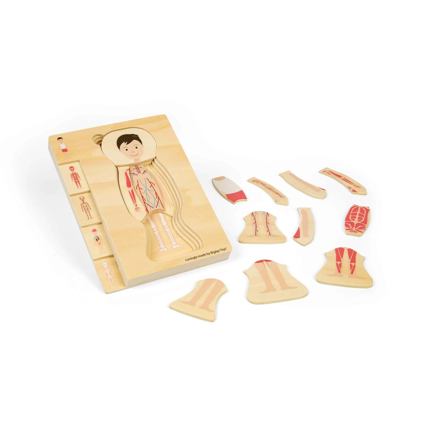 PUZZLE ANATOMIC DIN LEMN - BAIAT - BIGJIGS TOYS (37021)