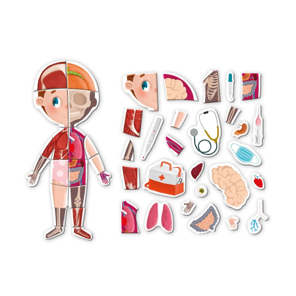 MAGNETIC GAME - DISCOVER THE HUMAN BODY - DODO (DO200220)