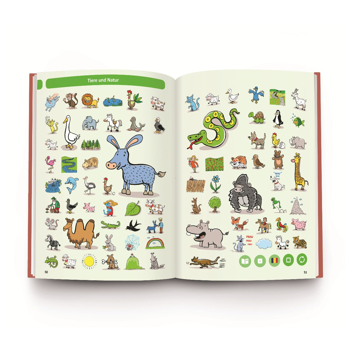 RASPUNDEL ISTETEL, CARTE DICTIONAR GERMAN-ROMAN - ALBI (55796)