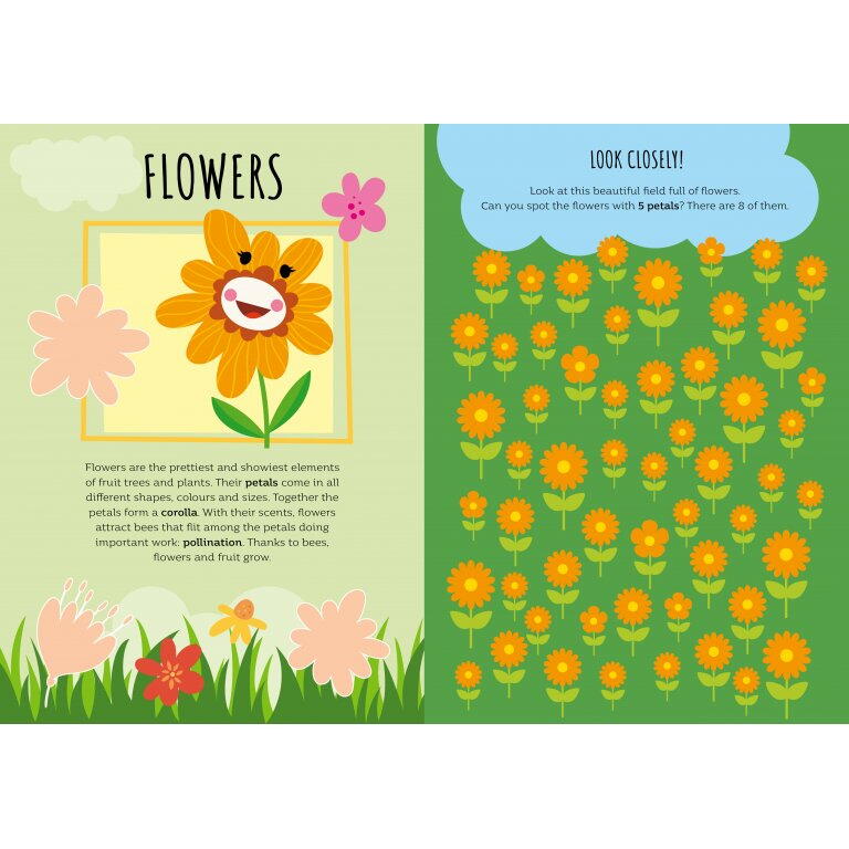 CARTE DE ACTIVITATI CU ABTIBILDURI - IN NATURA - SASSI (978-88-303-1331-6)