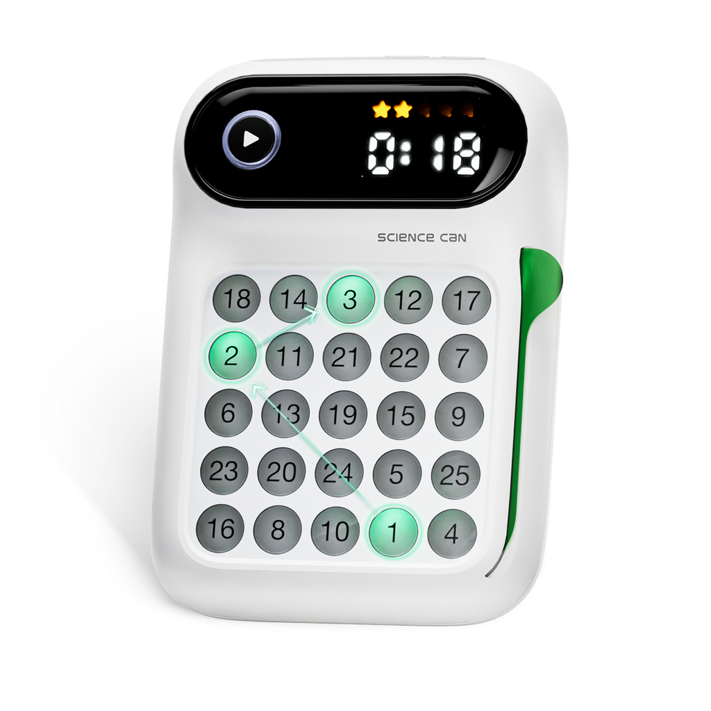 JOC STEAM 3 IN 1 - ANTRENAMENT PENTRU CREIER - SCIENCE CAN (1602062023ig0002)
