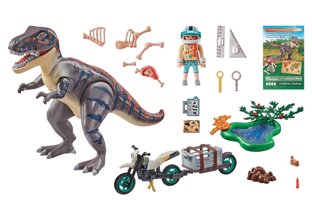 FOLLOWING T REX - PLAYMOBIL DINOSAUR (PM71524)