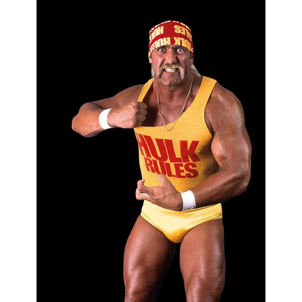 FIGURINA LUPTATOR PROFESIONIST HULK HOGAN - PLAYMOBIL WORLD WRESTLING ENTERTAINMENT (PM71958)