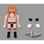 FIGURINA LUPTATOR PROFESIONIST TRIPLE H - PLAYMOBIL WORLD WRESTLING ENTERTAINMENT (PM71963)