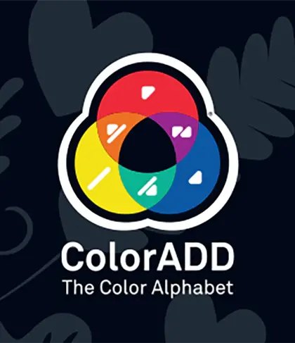 JOC LAMBADA - CARNAVALUL CULORILOR - OUTSET (C11612)