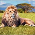 PROIECTOR TIP LANTERNA - CELE MAI PERICULOASE ANIMALE - BRAINSTORM (E4007)