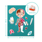 MAGNETIC GAME - DISCOVER THE HUMAN BODY - DODO (DO200220)