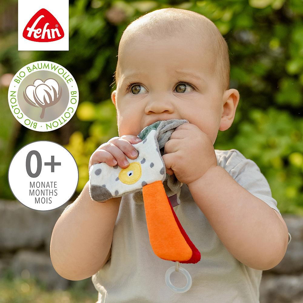 JUCARIE FOSNITOARE - CATELUS NATUR - FEHN (044034)