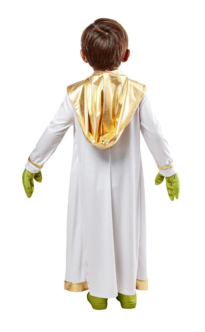 COSTUM CARNAVAL - MASTER YODA YOUNG - RUBIES (1001256)