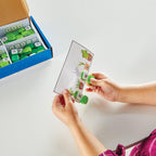 CLIPSURI SENZORIALE - INVATA NUMERELE - HAND2MIND (95381)