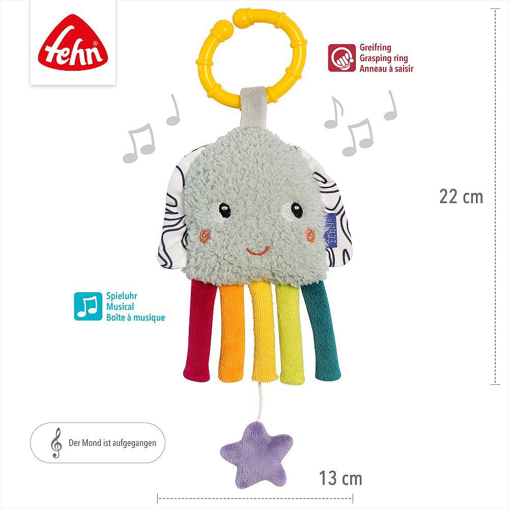 JUCARIE MUZICALA MINI - CARACATITA COLORATA - FEHN (043075)