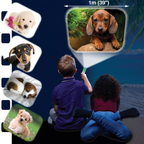 PROIECTOR TIP LANTERNA - CATELUSI DRAGUTI - BRAINSTORM (E4011)