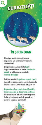 SUNT IMBATABIL - CINE? SI CUM? - DPH (5948495011246)