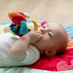 DEXTERITY AND TEETH TOY - CATELUS - FEHN (55283)