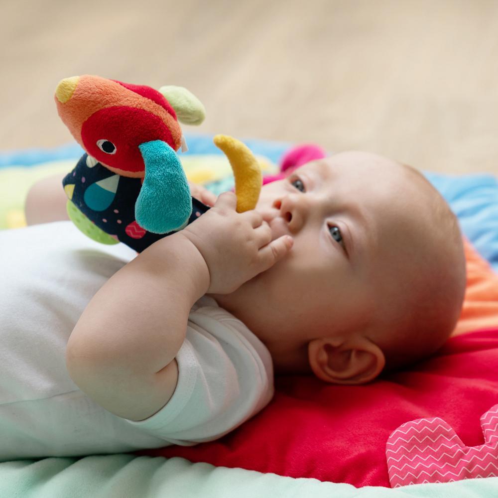 DEXTERITY AND TEETH TOY - CATELUS - FEHN (55283)