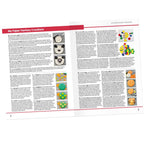 SET DE CREATIE ANIMALE AMUZANTE 4-8 ANI - HEADU (HE54198)