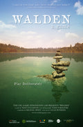 WALDEN, A GAME - STEAM - MULTILANGUAGE - WORLDWIDE - PC