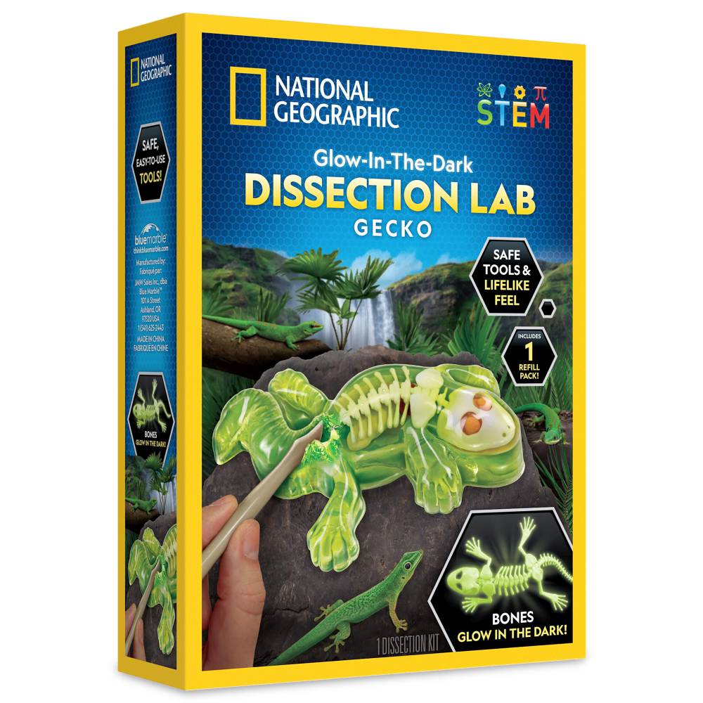 NATIONAL GEOGRAPHIC - CREATIVE LIZARD DISSECTION LAB KIT - NATIONAL GEOGRAPHIC (NG23036)