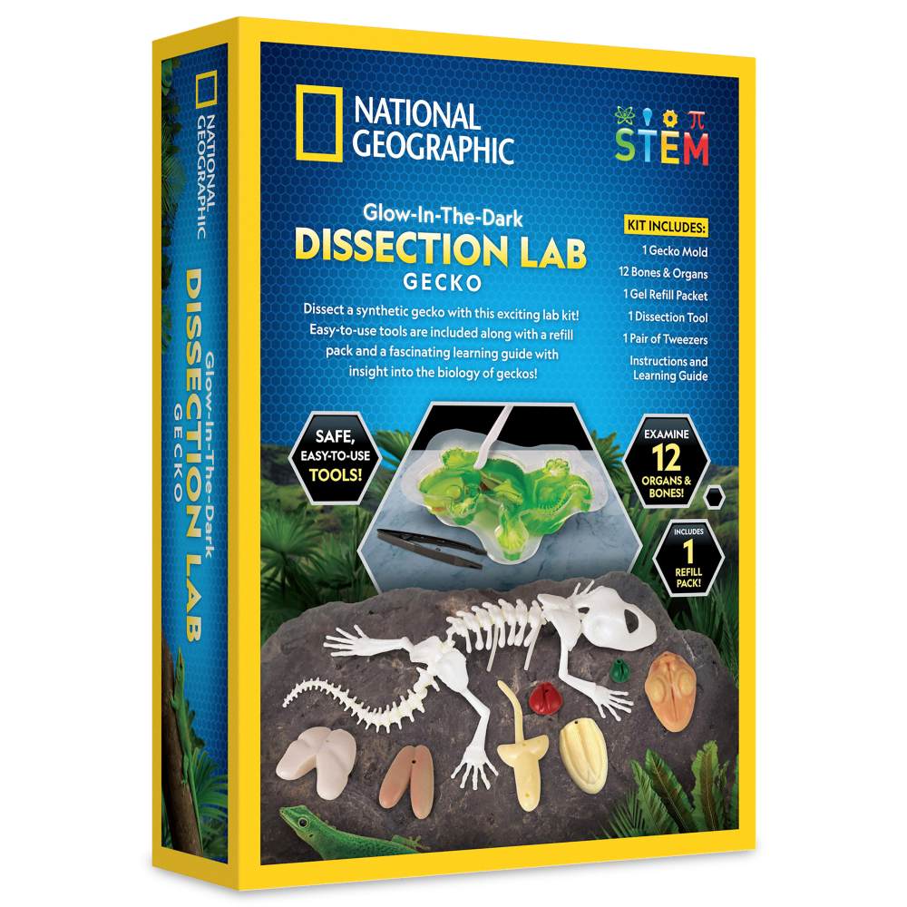 NATIONAL GEOGRAPHIC - CREATIVE LIZARD DISSECTION LAB KIT - NATIONAL GEOGRAPHIC (NG23036)