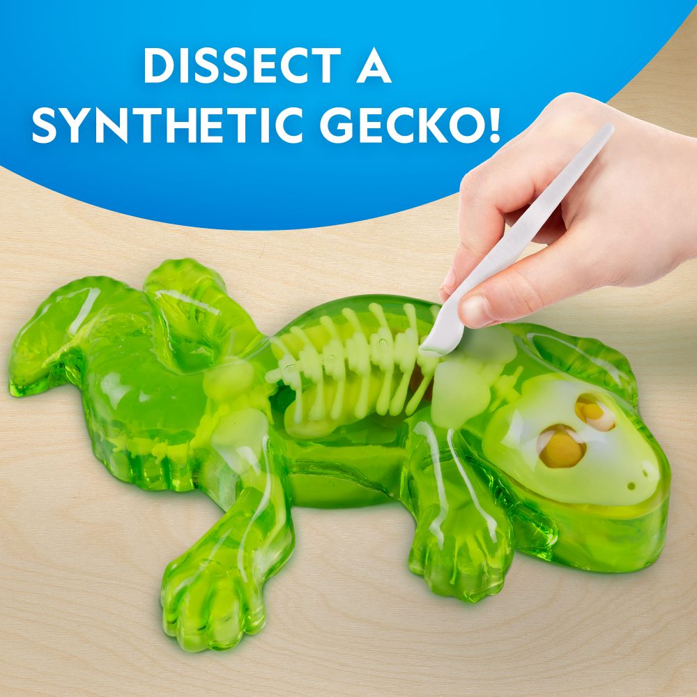 NATIONAL GEOGRAPHIC - CREATIVE LIZARD DISSECTION LAB KIT - NATIONAL GEOGRAPHIC (NG23036)